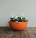 Load image into Gallery viewer, Planter Packages Barcelona Bowl x3 Cluster