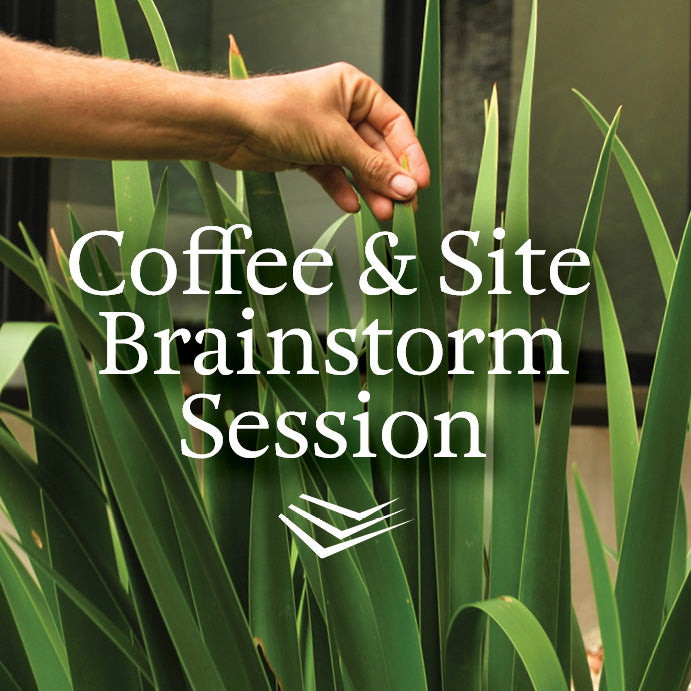 Coffee & site brainstorm session