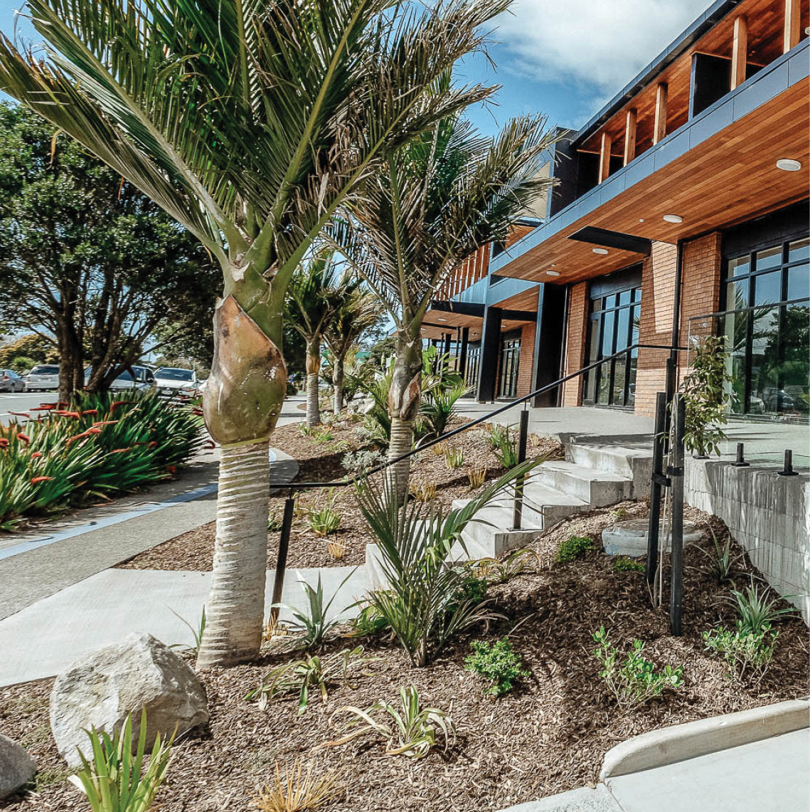 Landscape Assessment (Planning)