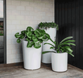 Load image into Gallery viewer, Planter Packages Milan x3 Cluster
