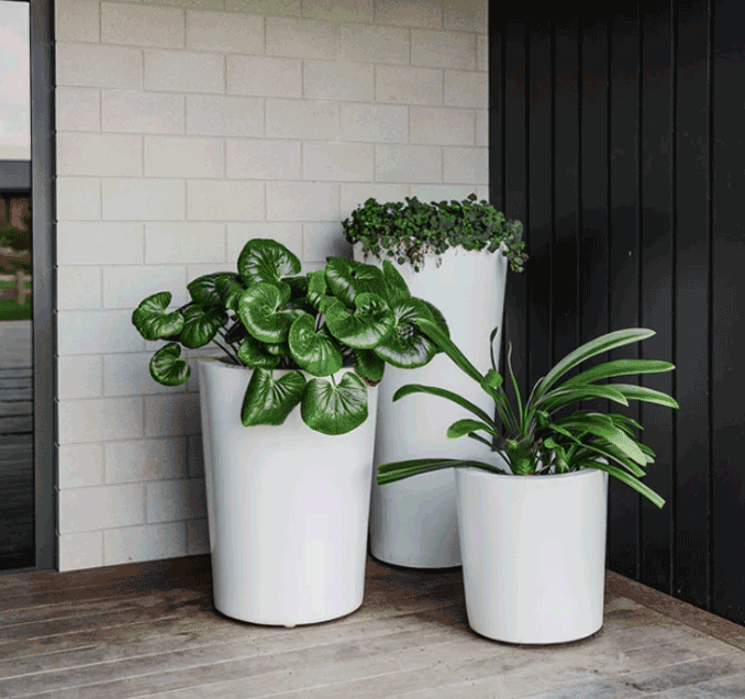 Planter Packages Milan x3 Cluster
