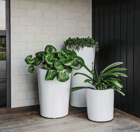 Planter Packages Milan x3 Cluster