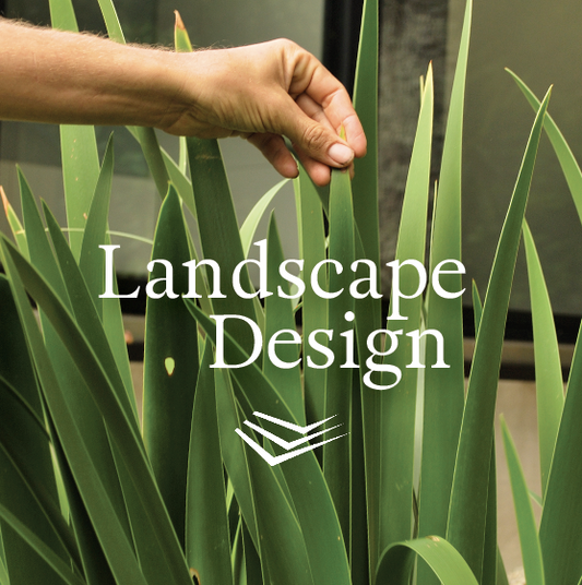 Landscape Architecture + Design