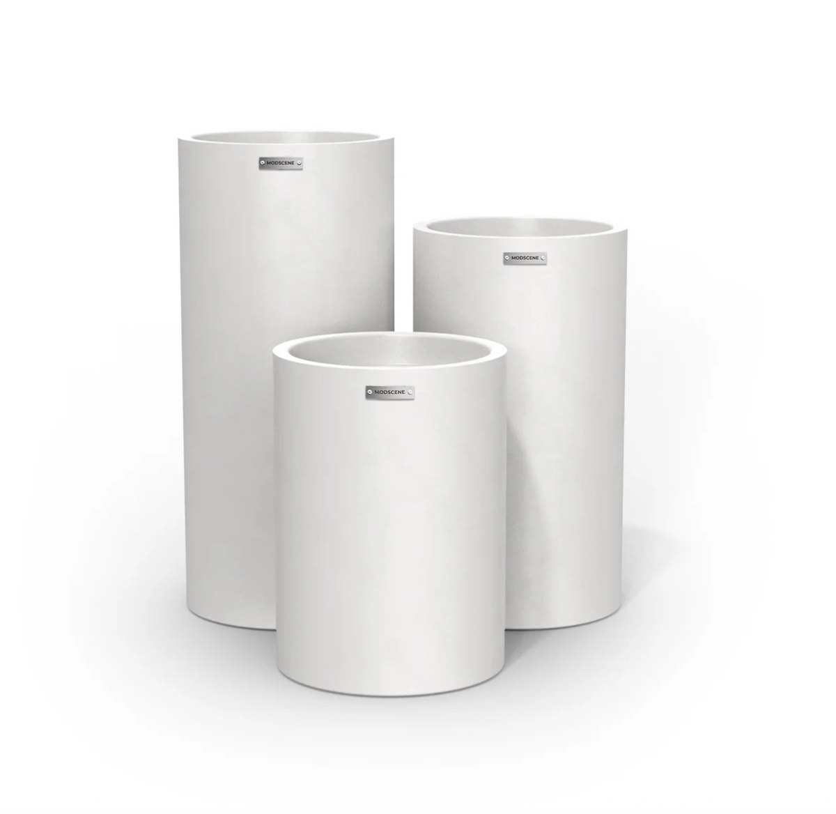 Planter Packages Cylindrus x3 Cluster