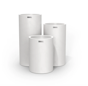 Planter Packages Cylindrus x3 Cluster