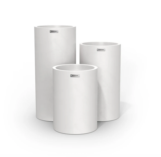 Planter Packages Cylindrus x3 Cluster