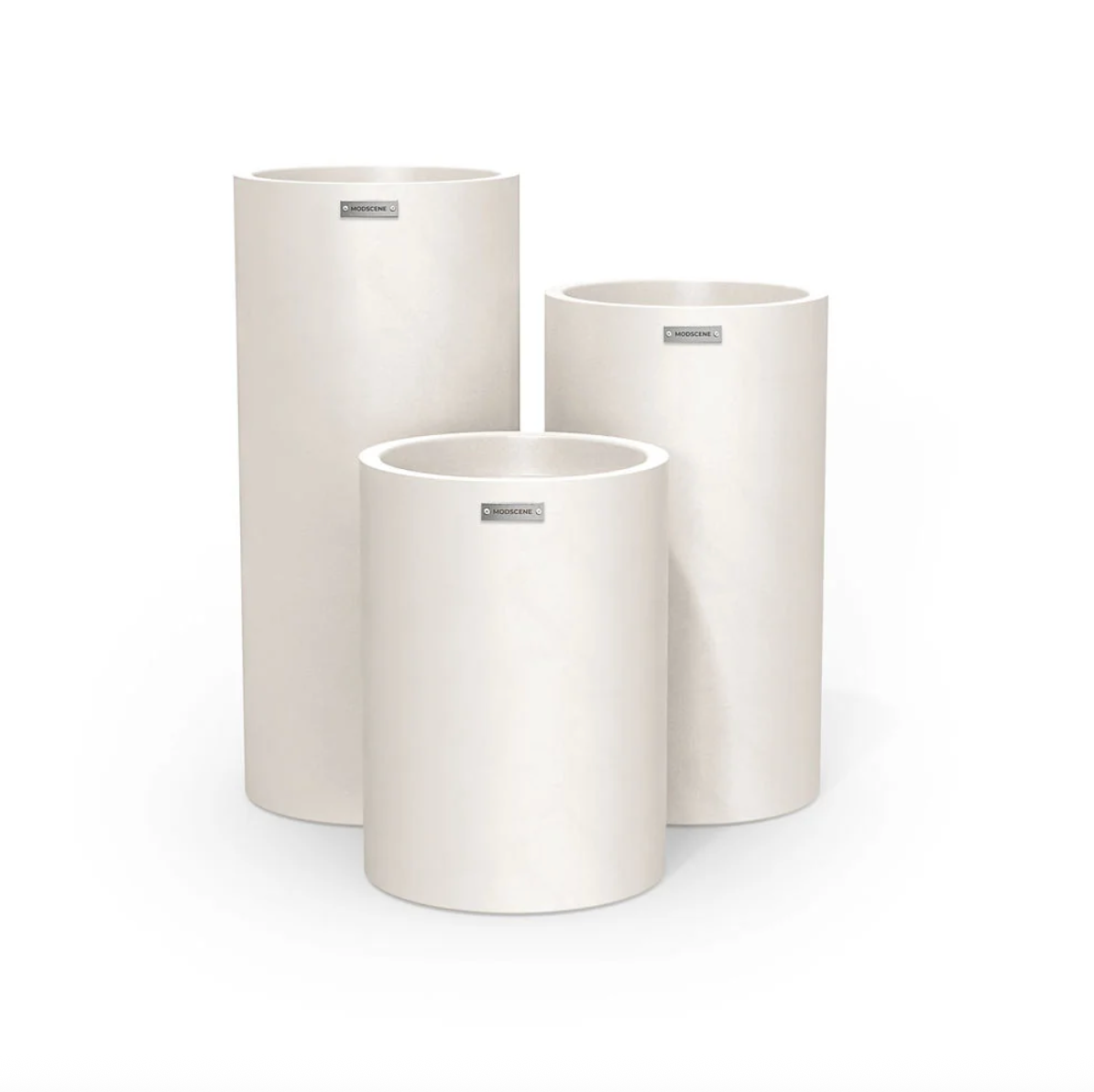 Planter Packages Cylindrus x3 Cluster